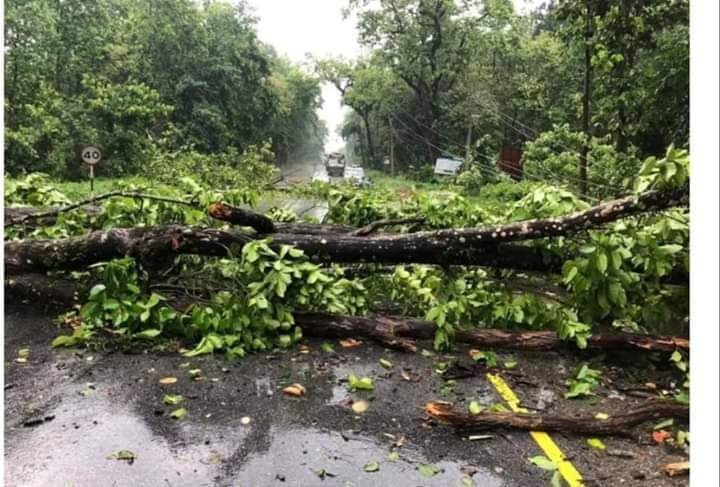 रुख ढल्दा एक जनाको मृत्यु