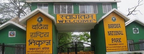 बर्दियामा बाघको आक्रमण बढ्दै गएपछि निकुञ्ज क्षेत्र प्रवेशमा रोक