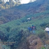 रोल्पामा जीप दुर्घटना हुँदा ४ जनाको मृत्यु