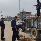 नेपालगन्जका सडकमा रहेका खाडल पुर्दै बाँके ट्राफिक