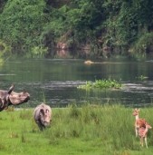 आज विश्व सिमसार दिवस मनाइँदै