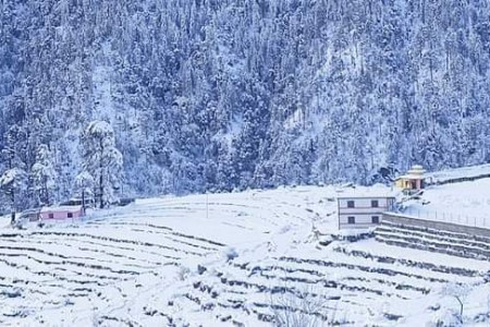 नेपालमा पश्चिमी वायुको प्रभावः कतै बर्षा, कतै हिमपात