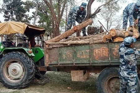 सशस्त्र प्रहरीद्वारा कपिलवस्तुबाट ठुलो परिमाणमा अवैध काठ बरामद