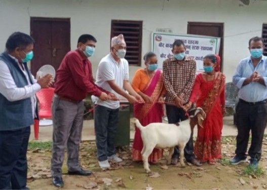 कृषि अनुसन्धान निर्देशनालय खजुराद्वारा बोर बोका हस्तान्तरण