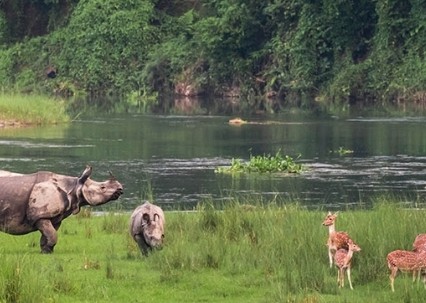 आज विश्व सिमसार दिवस मनाइँदै