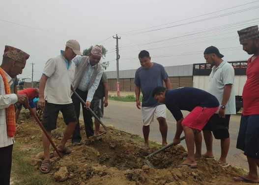 कोहलपुरमा बृह्त बृक्षारोपणको तयारी